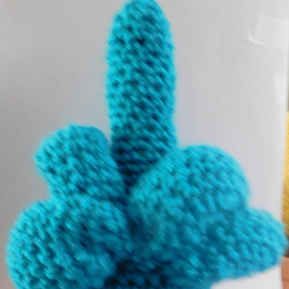 CROCHETED TURQUOISE MIDDLE FINGER CACTUS